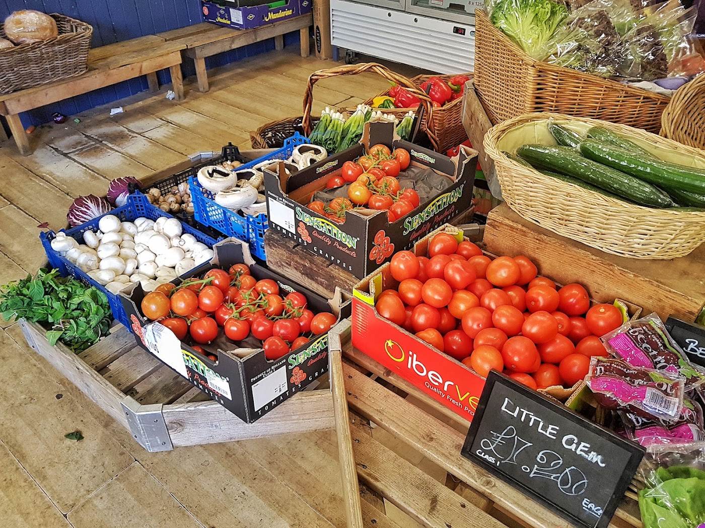 Crates of ripe tomatoes, mushrooms, garlic and cucumbers set out on a wooden floor