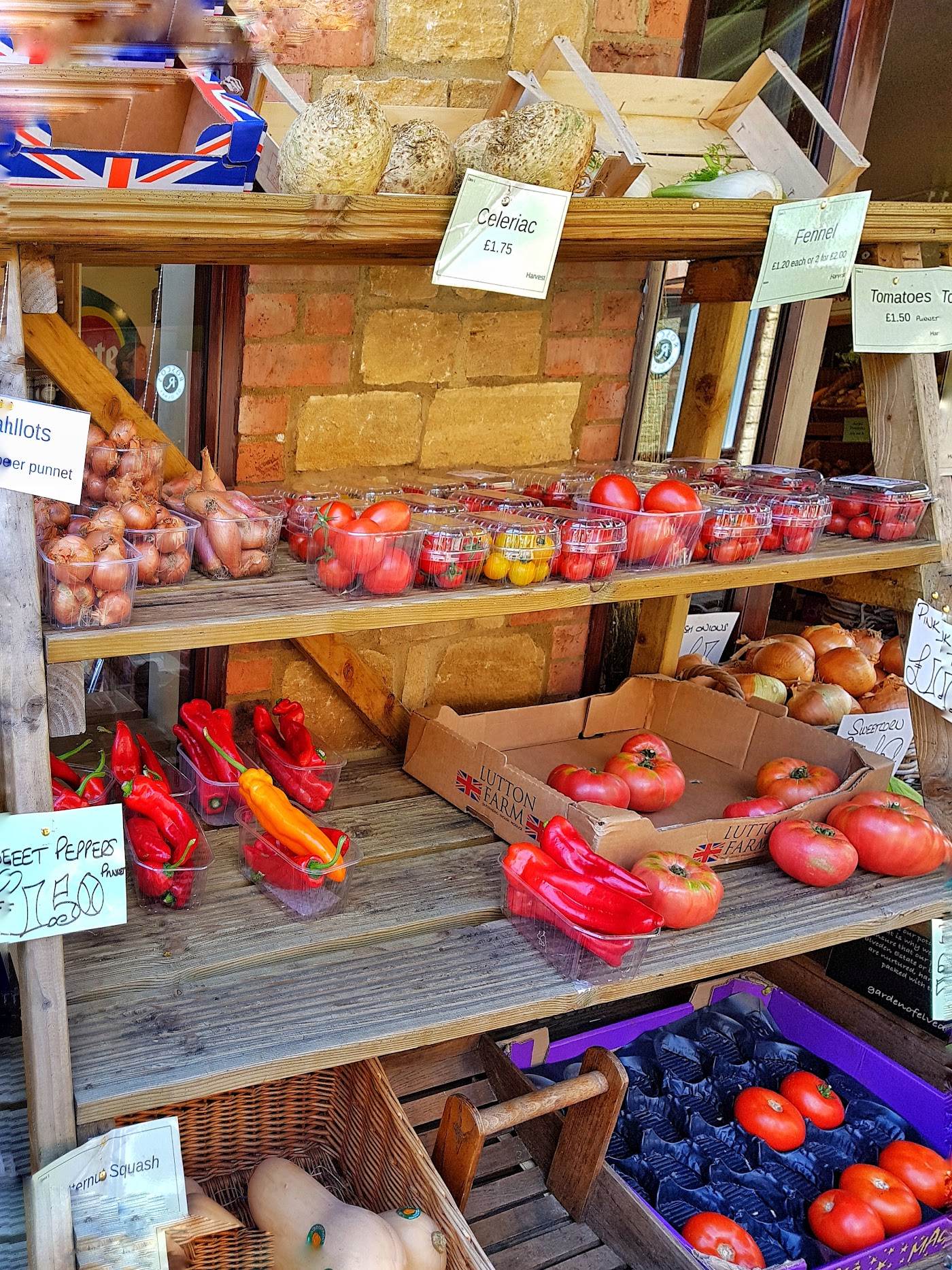 A second ladder shelf with celeriac, fennel, shallots, sweet peppers and tomatoes against the brick and stone wall